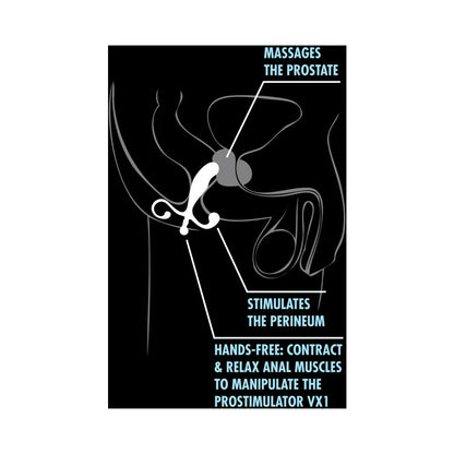 ProStimulator VX1 Prostate Massager – Hands-Free Beginner to Advanced by Blush