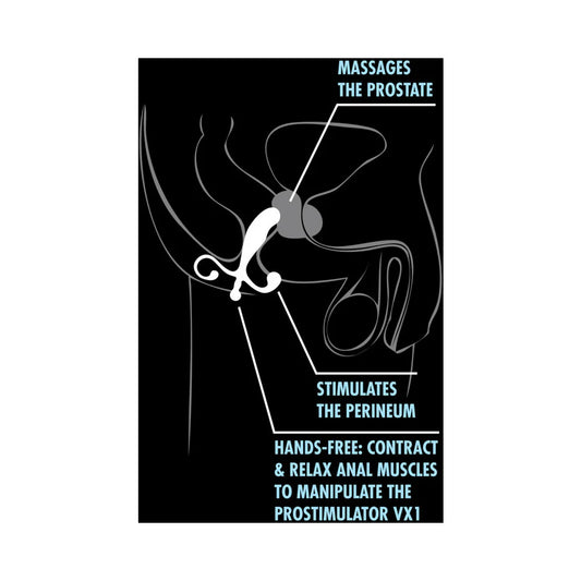 ProStimulator VX1 Prostate Massager – Hands-Free Beginner to Advanced by Blush
