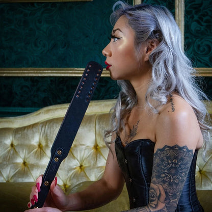 Whole Suitcase! Temptasia Safe Word Bondage Kit with Suitcase Black
