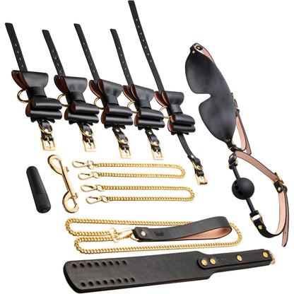 Whole Suitcase! Temptasia Safe Word Bondage Kit with Suitcase Black